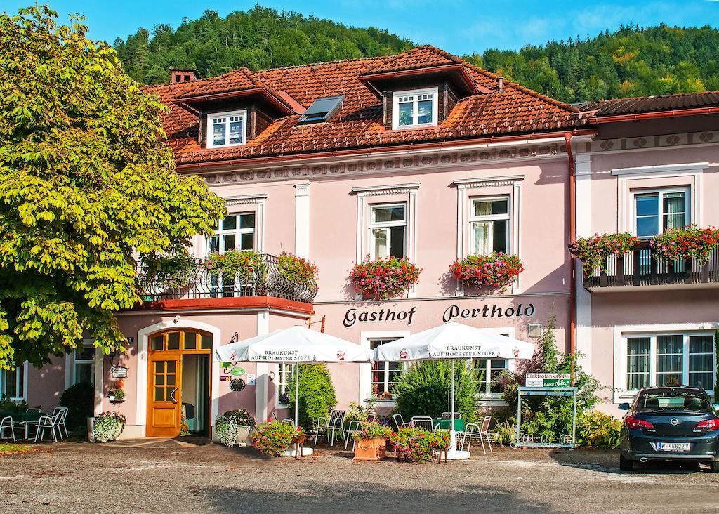 Gasthof Zum Niederhaus - Familie Perthold Sankt Aegyd am Neuwalde Bagian luar foto